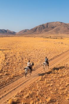 Forget the savannahs: The real future of Africa is in its cities