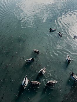 Who benefits from the migrant chaos in Spain?