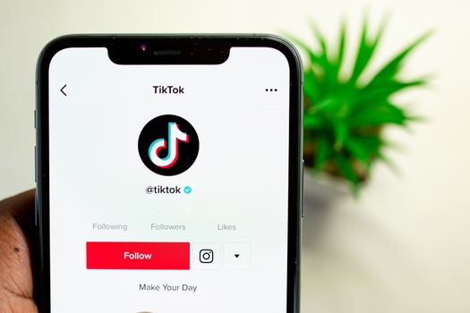 TikTok dodges US trial over children’s data