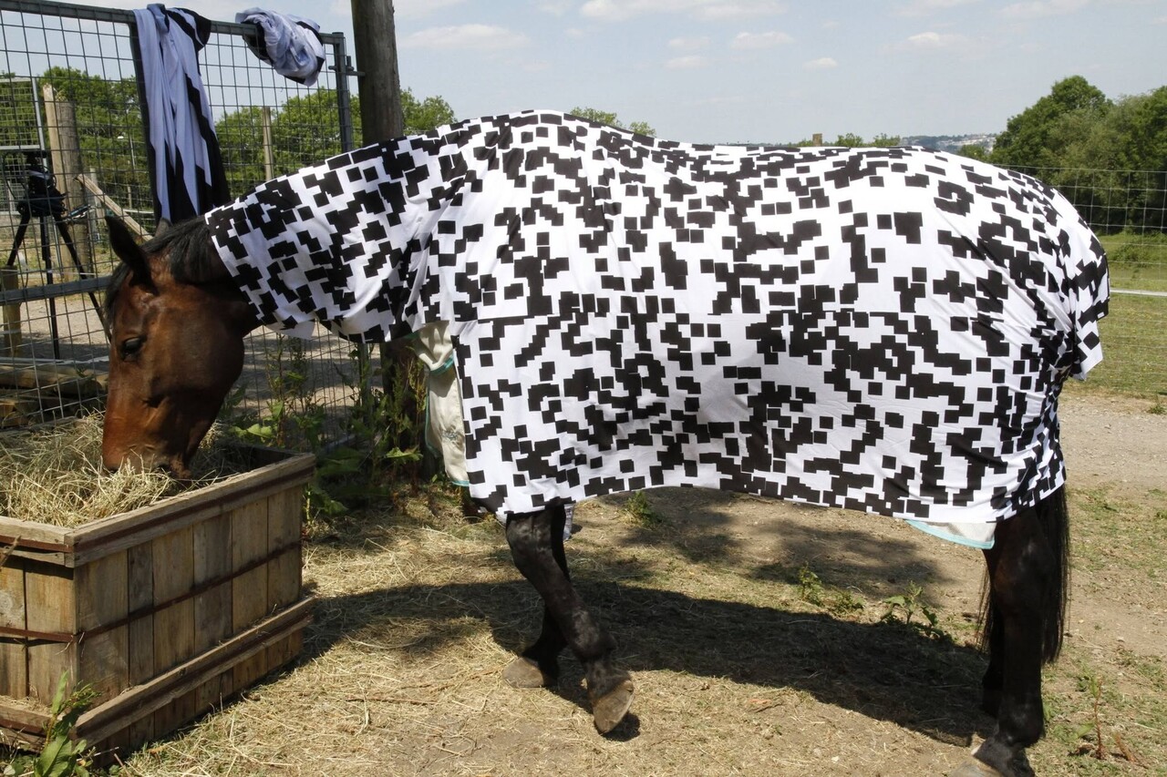 horse camouflage