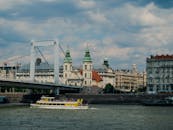 Soros has ‘taken over’ Hungary – Musk