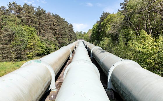 Ukraine resumes oil flow via Druzhba pipeline – Hungary