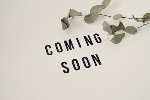 Is Anthropic Coming For eBay?