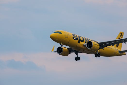 "They Threw It Away": Airline Lobby Chief Says Democrats Accelerated Spirit Airlines' Demise