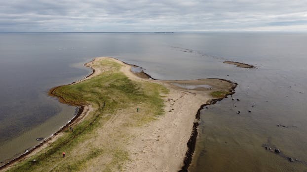 Google behind new tensions on Russia’s Baltic border – Estonia