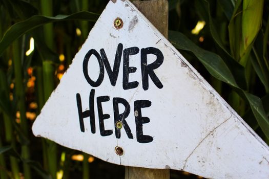 Sign(s) Here, Here, And Here