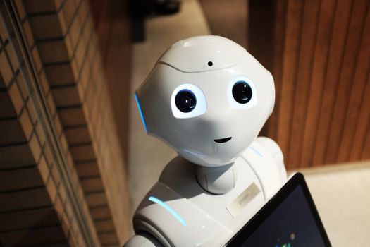 Oracle Cuts 21,000 Jobs As AI Adoption Deepens And Credit Risk Flashes GFC-Era Highs