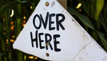 Sign(s) Here, Here, And Here